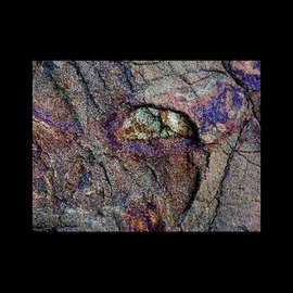 Outsider Nature Art Photography